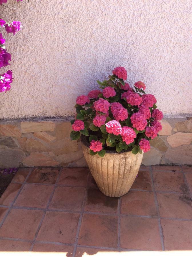 Apartamentos Y Habitaciones Kai Marbella (Adults Only) 외부 사진
